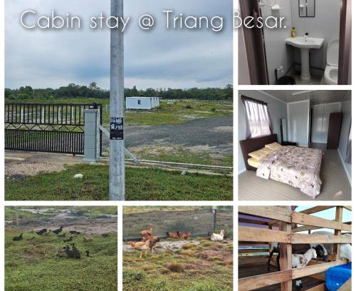 Tekek Ski Chalet | Cabin stay Triang Besar