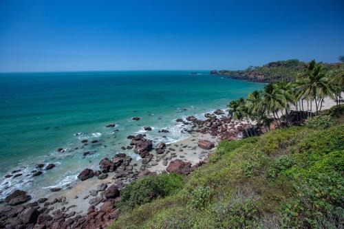Cola Other | Cabo Serai