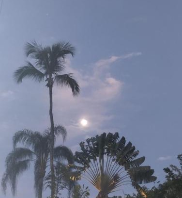 Ilha Grande House | Cachanga