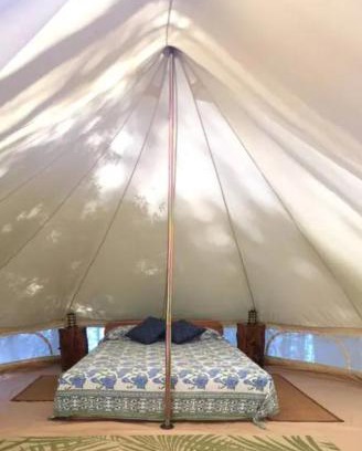 Masalli Other | Cadirmenbak vip house