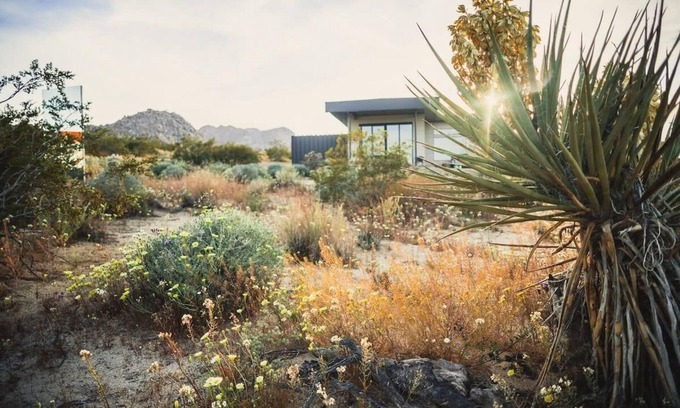 Panorama Heights House | Caelum By Homestead Modern