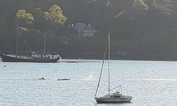 Garelochhead Apartment | Caerphilly on the Gareloch