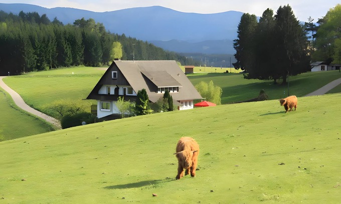 Muehlenbach House | Café Pension Pfaus - 1 Holiday Apartment (4 guests), 3 Double Rooms and 1 Triple Room