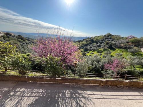 Caldana Apartment | Caldana "La Perla della Maremma"