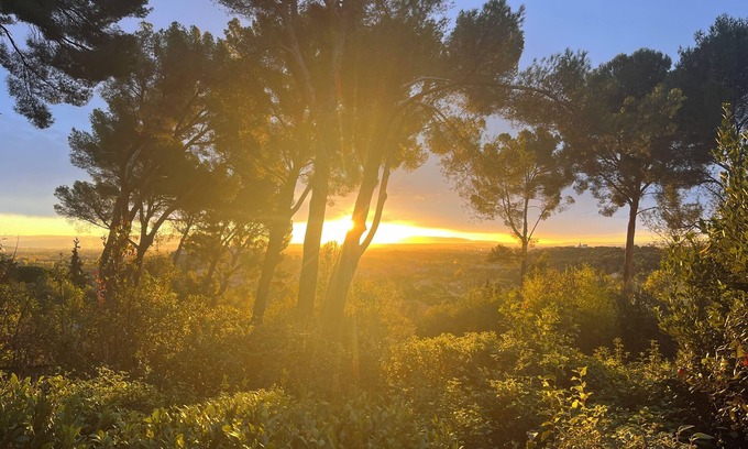 Villeneuve-les-Avignon House | Californian-style house in the pines at Villeneuve Les Avignon