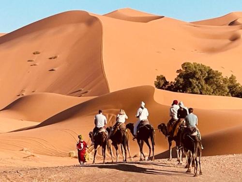 Taouz Bed & Breakfast | Camel Luxury Camp
