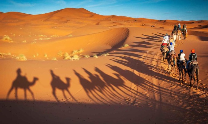 Taouz Apartment | Camel Trekking Camp