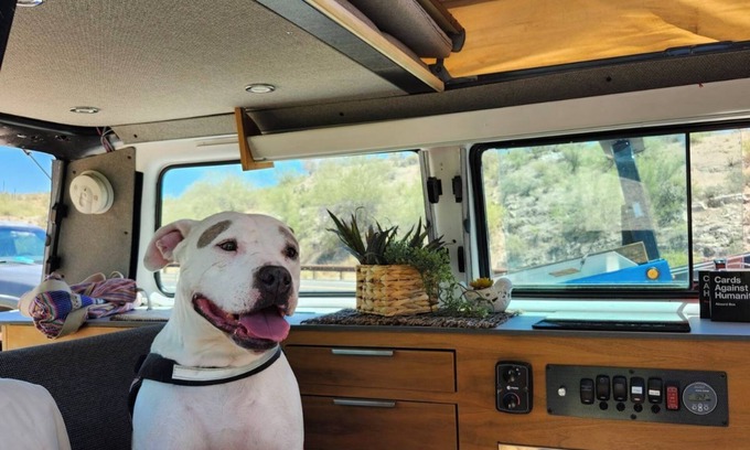 Chandler House | Camp in a sun-powered, classic VW