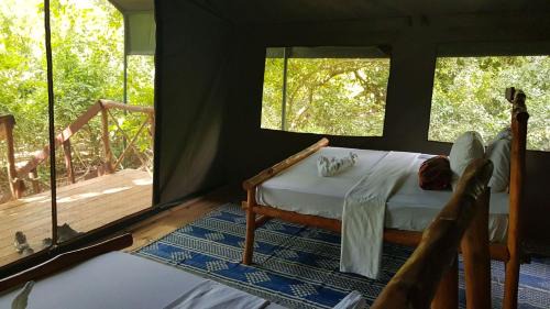 Mloka Other | Camp Seluu - Join Safari