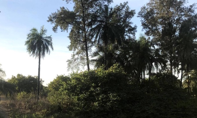 Abeme Hotel | Campement les Antilles