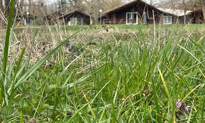 Saint-Didier-sur-Chalaronne Other | CAMPING DE LA CHALARONNE
