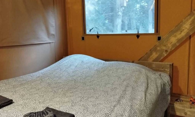 Paluds de Noves House | Camping 4 étoiles - Piscine - eehgfi