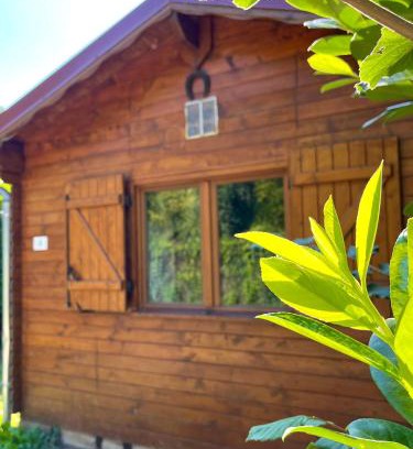 Angicourt Other | Camping la Faloise - Chalet 1 chambre