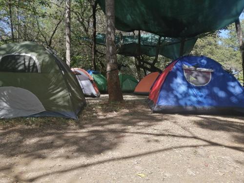 Tamarindo Other | Camping Paradise Point