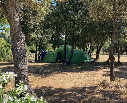 Kolan Other | Camping Sugar