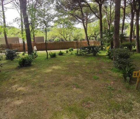 Ca' Savio Other | Camping Valdor Camper & Pitch