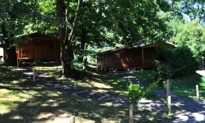 Montrejeau Ski Chalet | Campsite Midi Pyrenees * - Chalet 3 bedrooms 6 people