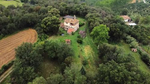Amer House | Can Cargol