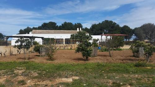 Pilar de la Mola House | Can Joan Barber, 2