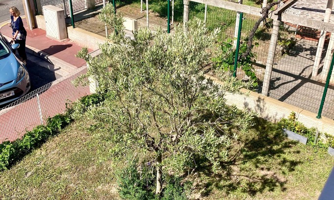 La Bocca Bed & Breakfast | Cannes City B&B