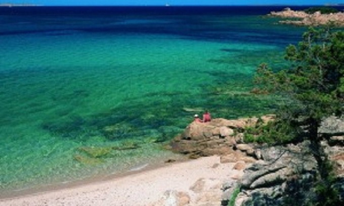 Arzachena Apartment | CANNIGIONE - APARTMENT IN VILLA WITH POOL FACING THE SEA