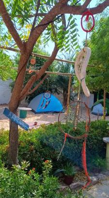 Canoa Quebrada Other | Canoa Roots Camping