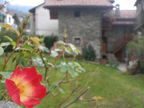 Saint-Vincent House | Canton d'Antan