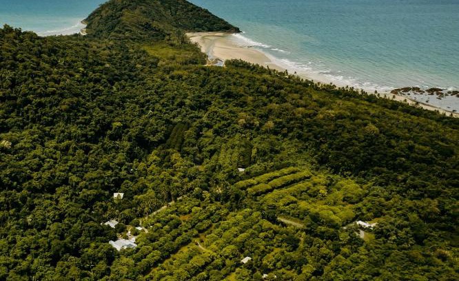 Cape Tribulation Bed & Breakfast | Cape Trib Farm
