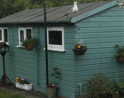Cadgwith House | Captain's Cabin