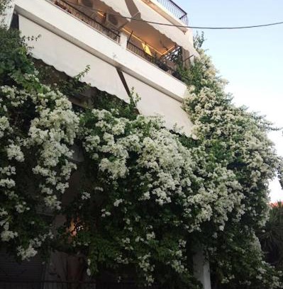 Aegina Town Apartment | Captain's Rooms