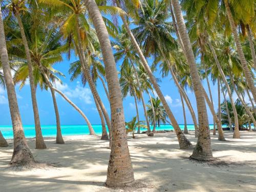 Mathiveri Hotel | Captal Island Villa