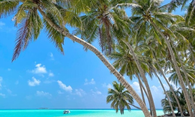 Mathiveri Hotel | Captal Island Villa