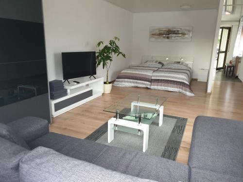 Kandern Apartment | Carina Apartment