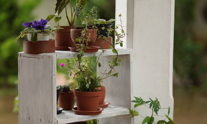 Kushalnagar Villa | Carpe diem stay a holiday home located in the midst of greenery away from town.