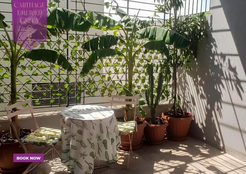 Jardins De Carthage Apartment | Carthage Emerald Green