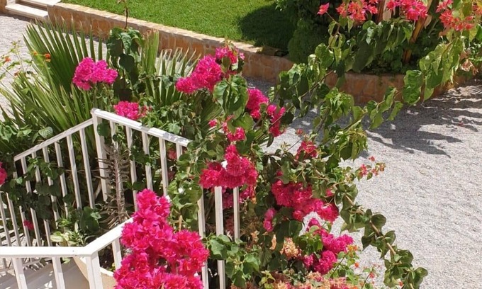 San Juan de los Terreros Resort | Casa Antonio - Three Bedroom Resort, Sleeps 6