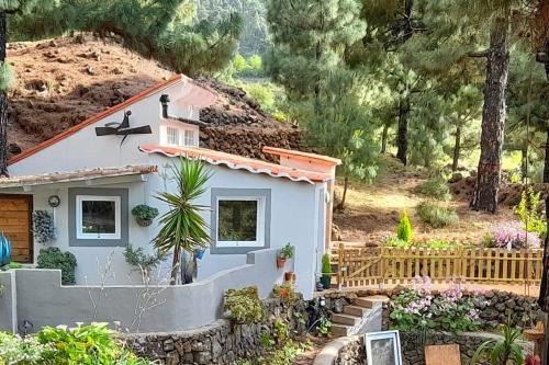 El Paso Ski Chalet | Casa Aguar: Acogedora casa de invitados en el bosque