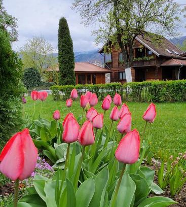 Cisnadie House | Casa Amalia Tocile -Sadu