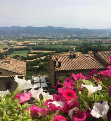 Santa Reparata Apartment | Casa Belvedere