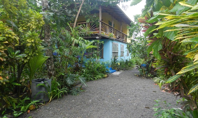 Puerto Viejo de Talamanca House | Casa Galim - Blue Morpho - House on the beach