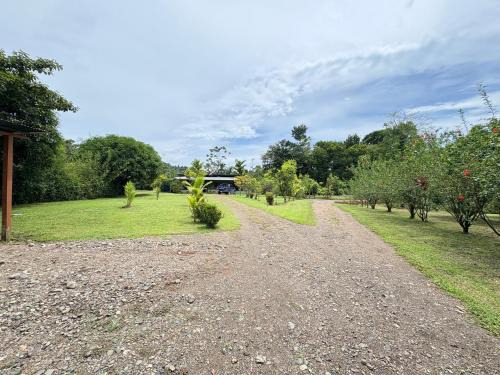 Drake Bay House | Casa Danta