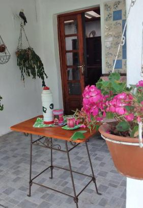 Reyes House | Casa de la Abuela