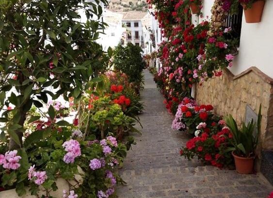 El Gastor House | Casa de las Flores - a picture perfect location!