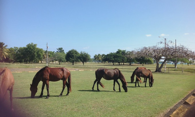 Villa Borinquen Villa | Casa De Luz, View Spectacular with Privacy