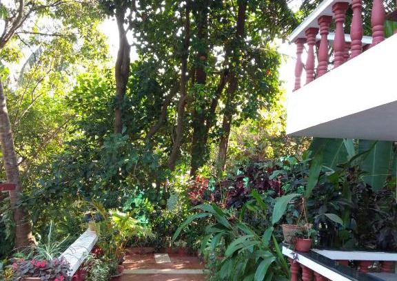 Chapora House | Casa De Olga