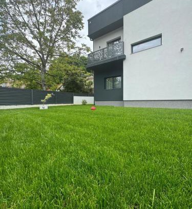 Baile Olanesti Villa | Casa de vacanta Cris 2