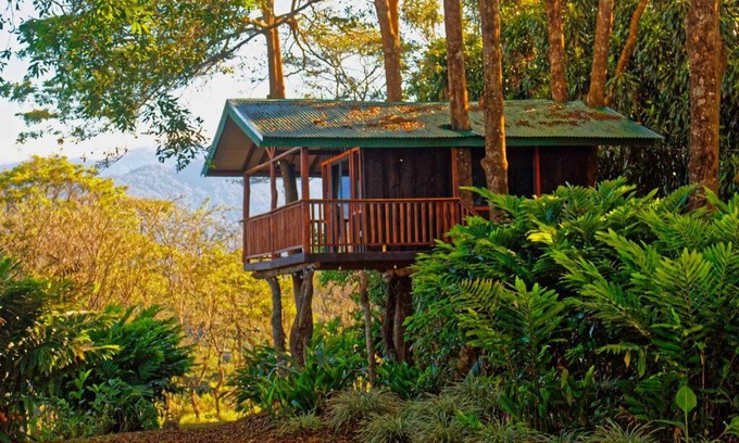 Quebrada La Gamba Ski Chalet | Casa del árbol