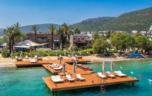 Torba Hotel | Casa dell'Arte Hotel of Arts & Leisure