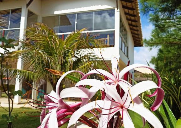 Guajiru House | Casa do Capitao
