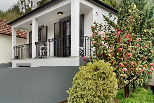 Sao Vicente House | Casa Francisco